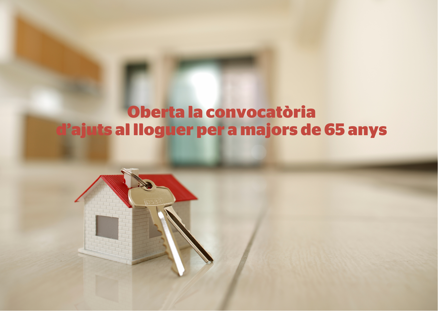 DESTACAT WEB